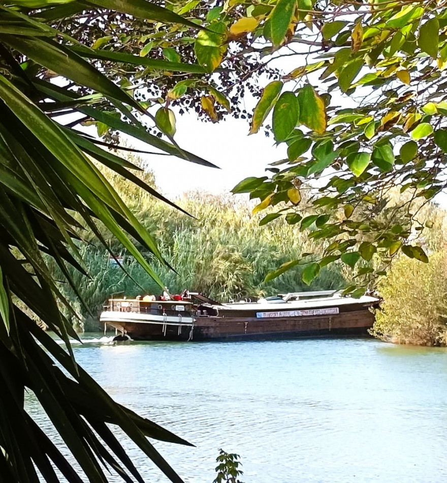 à vendre Propriété Agde - Photo 14