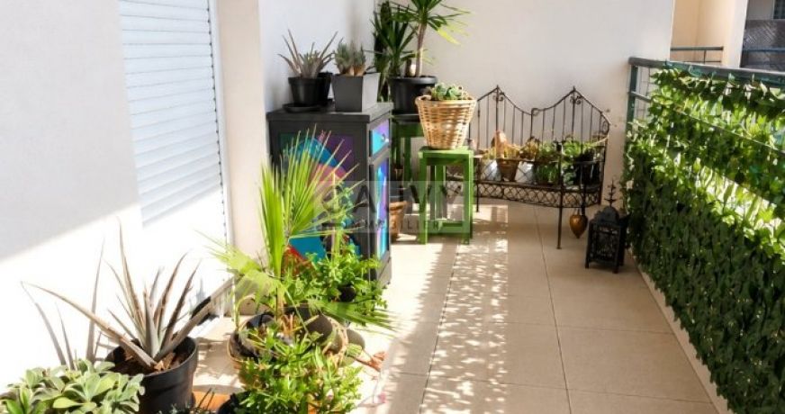 vente Appartement Agde