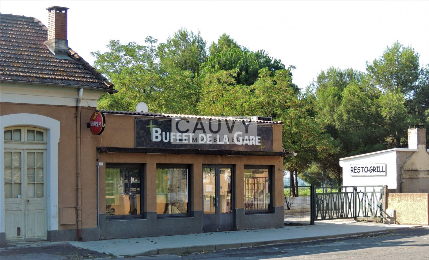 à vendre Locaux d'activité Paulhan - Photo 2