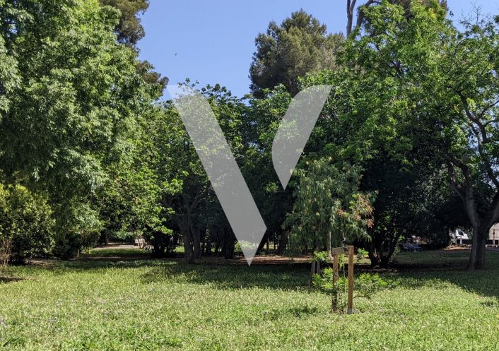 à vendre Appartement Sete