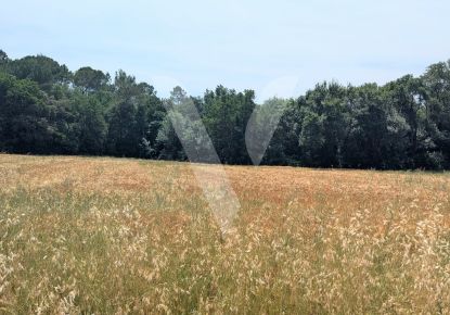 vente Terrain Mons