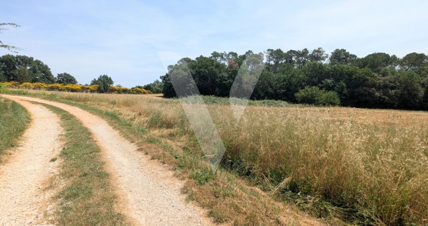 vente Terrain Mons