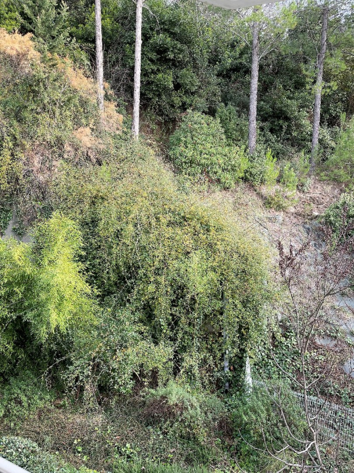 vente Appartement en résidence Montpellier - Photo 11