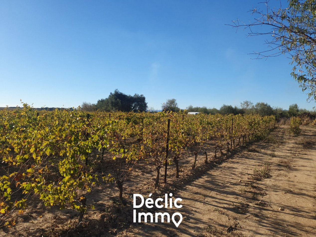 vente Terrain agricole Servian - Photo 1