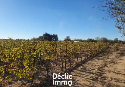 vente Terrain agricole Servian