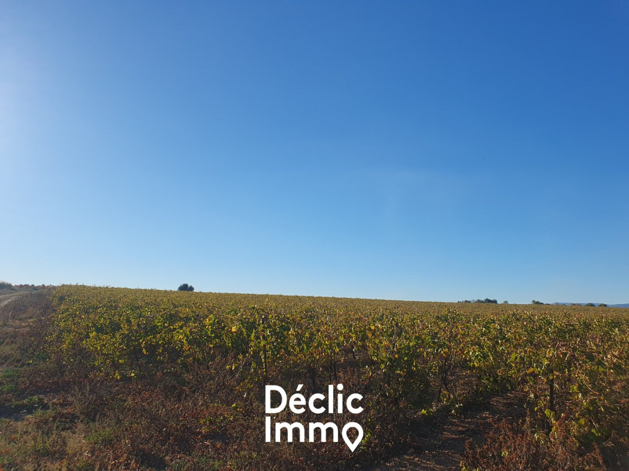 vente Terrain agricole Servian - Photo 10