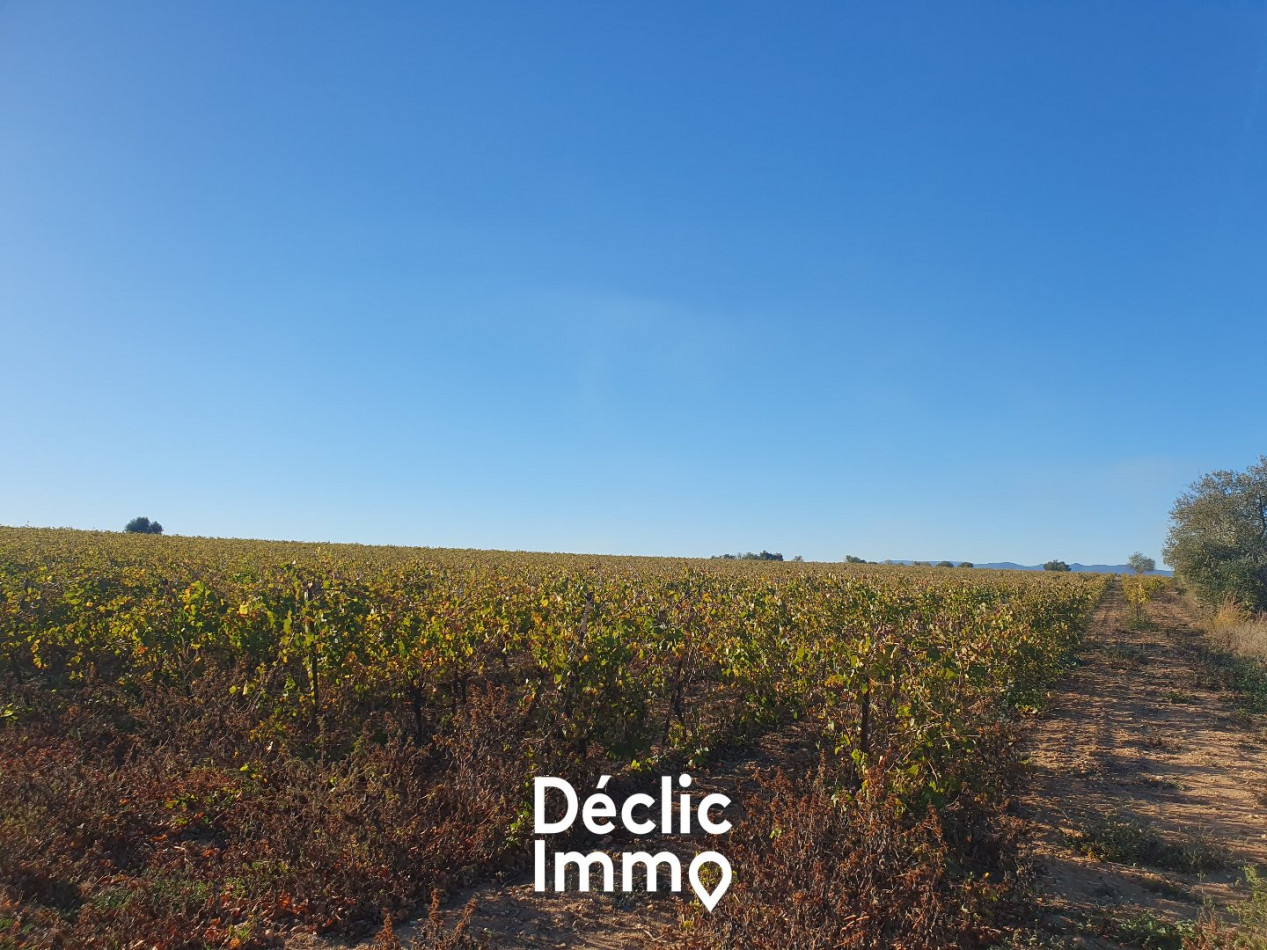 vente Terrain agricole Servian - Photo 11