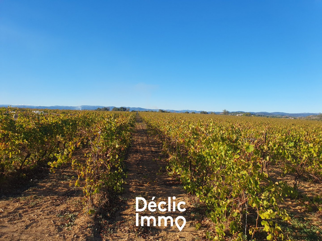 vente Terrain agricole Servian - Photo 13