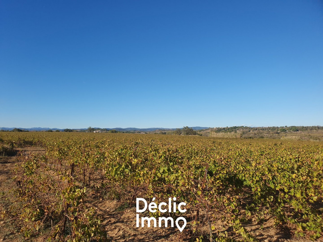 vente Terrain agricole Servian - Photo 14