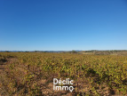 vente Terrain agricole Servian