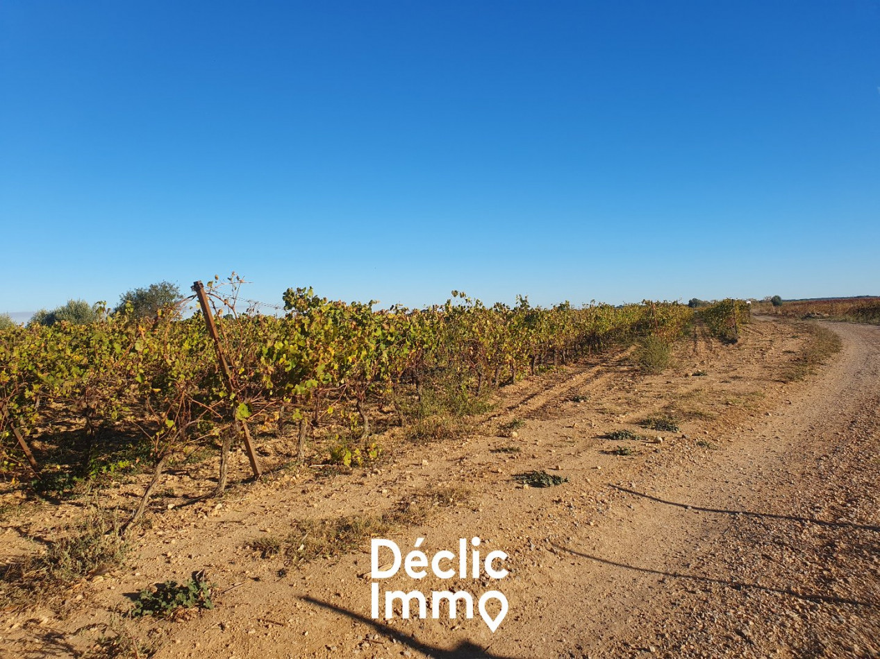 vente Terrain agricole Servian - Photo 15