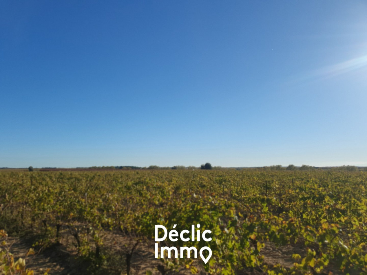 vente Terrain agricole Servian - Photo 2