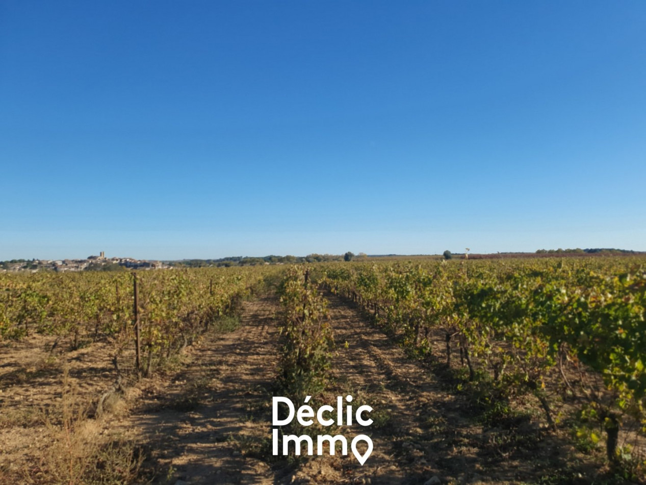 vente Terrain agricole Servian - Photo 3