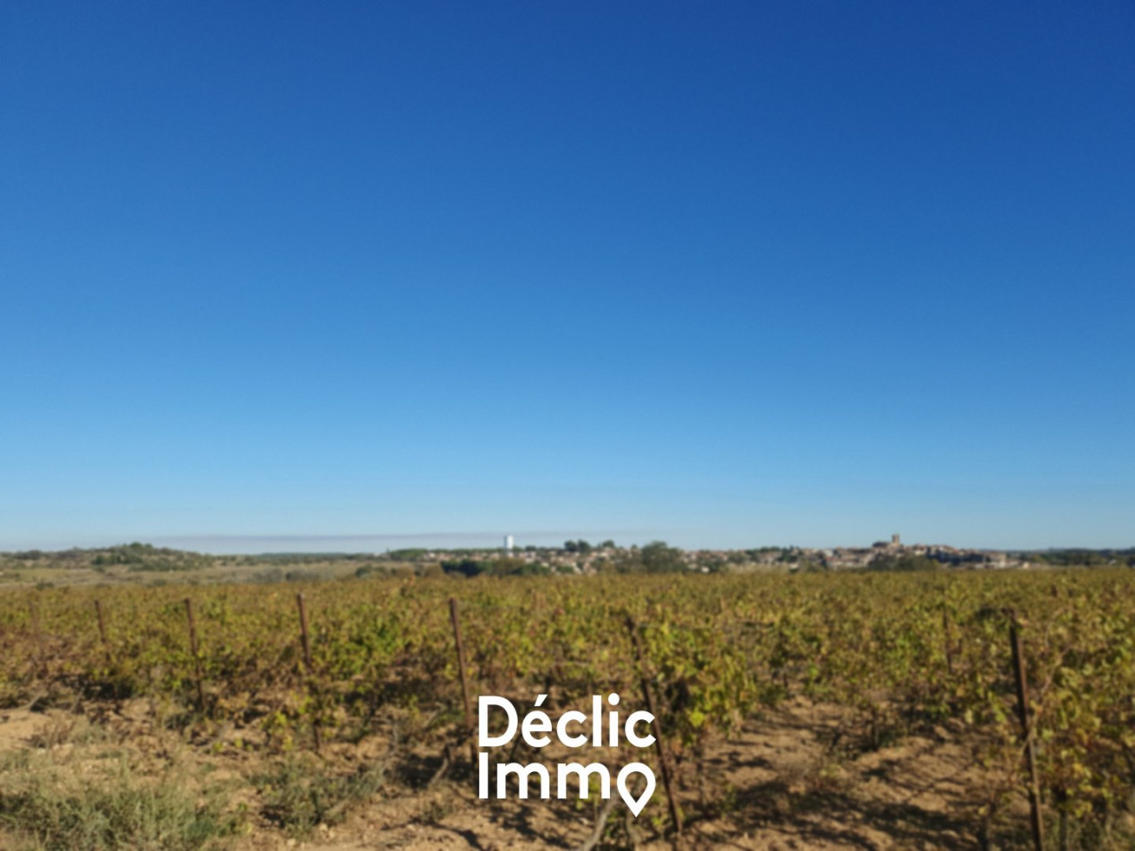 vente Terrain agricole Servian - Photo 4