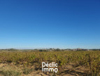 vente Terrain agricole Servian
