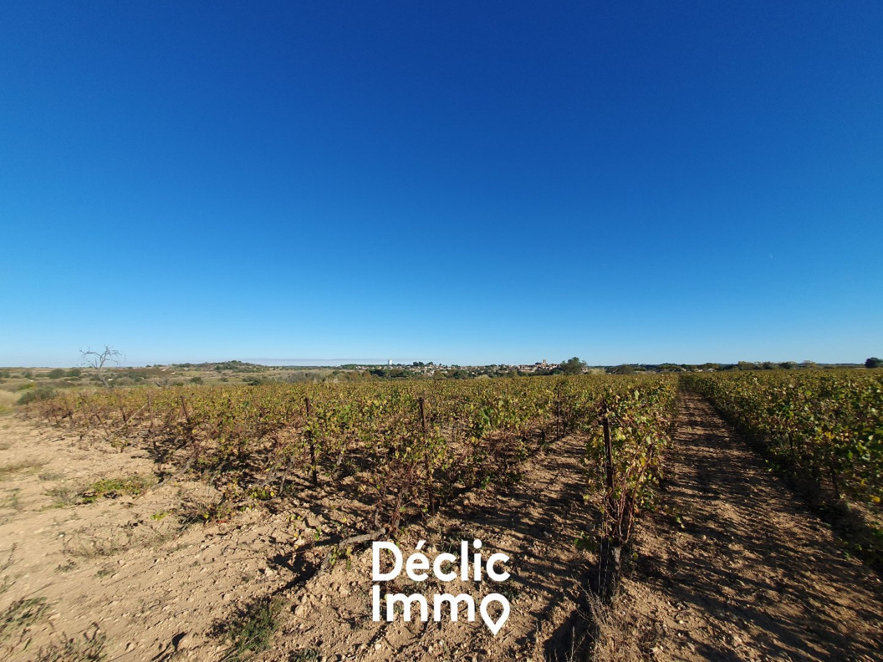 vente Terrain agricole Servian - Photo 5