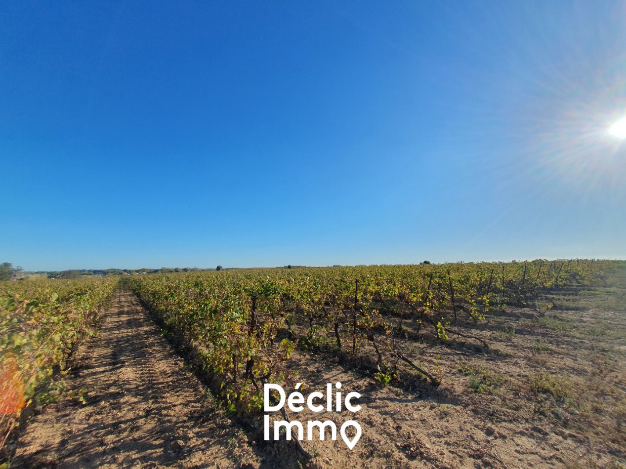 vente Terrain agricole Servian - Photo 6