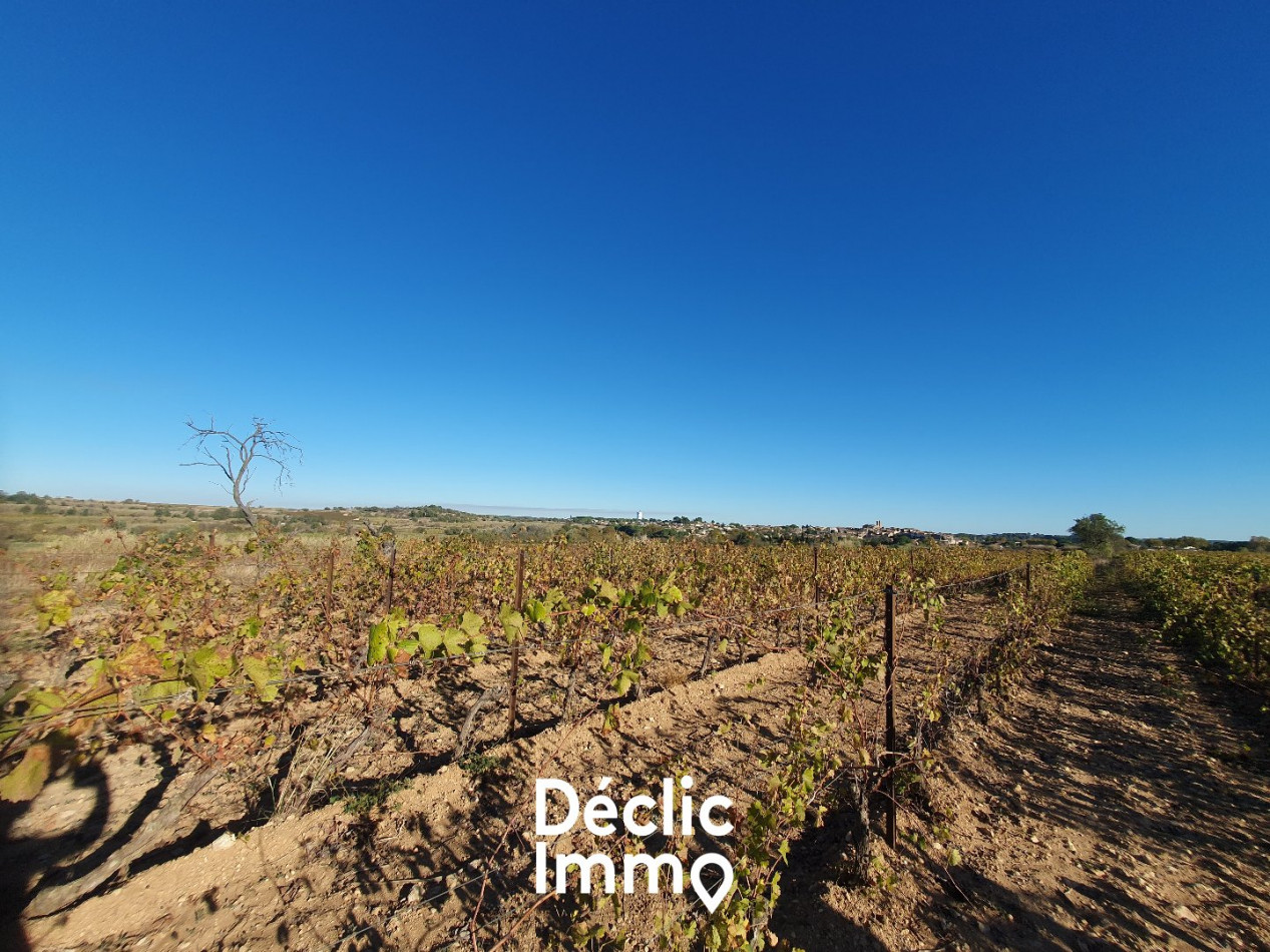 vente Terrain agricole Servian - Photo 7