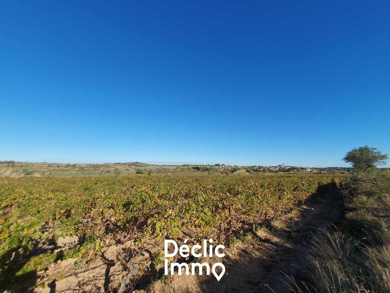 vente Terrain agricole Servian - Photo 8