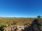 vente Terrain agricole Servian