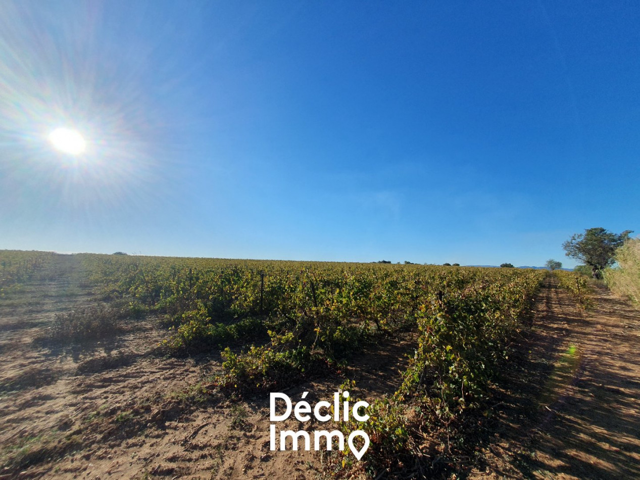 vente Terrain agricole Servian - Photo 9