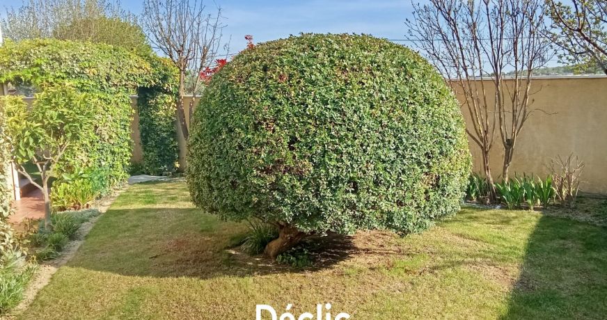 vente Maison individuelle Puissalicon