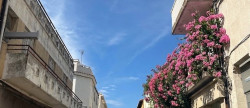 vente Local commercial Le Grau Du Roi
