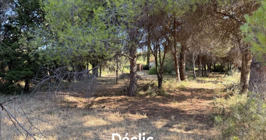 vente Terrain de loisir Villeneuve Les Maguelone