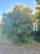 vente Terrain constructible Neffies