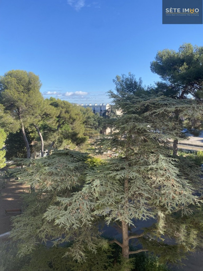 à vendre Appartement Sete - Photo 3