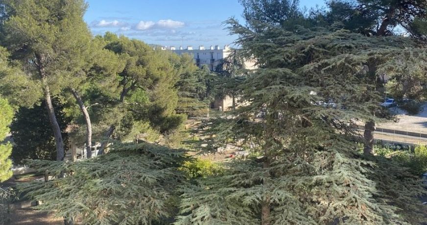 vente Appartement Sete