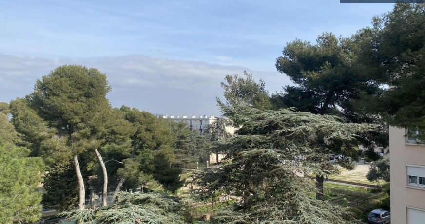 vente Appartement Sete