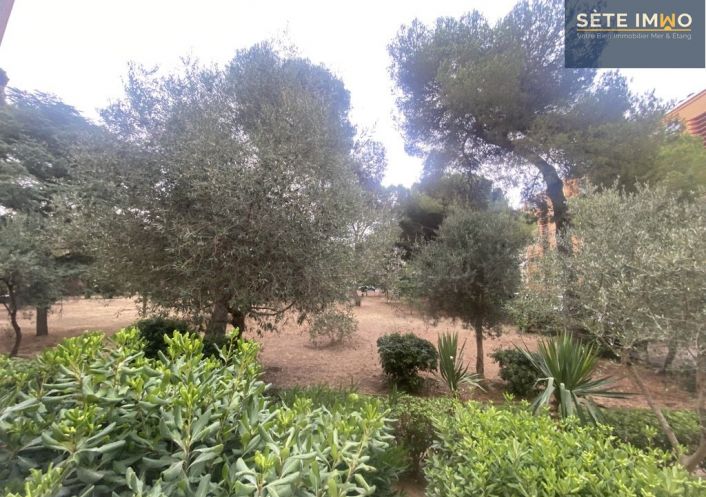 à vendre Appartement Sete