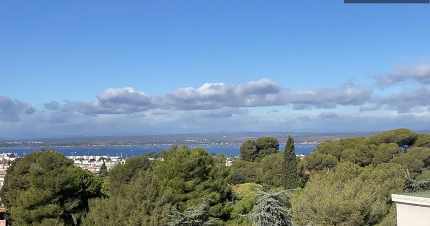 vente Appartement Sete