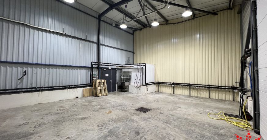 location Entrepots et bureaux Maraussan