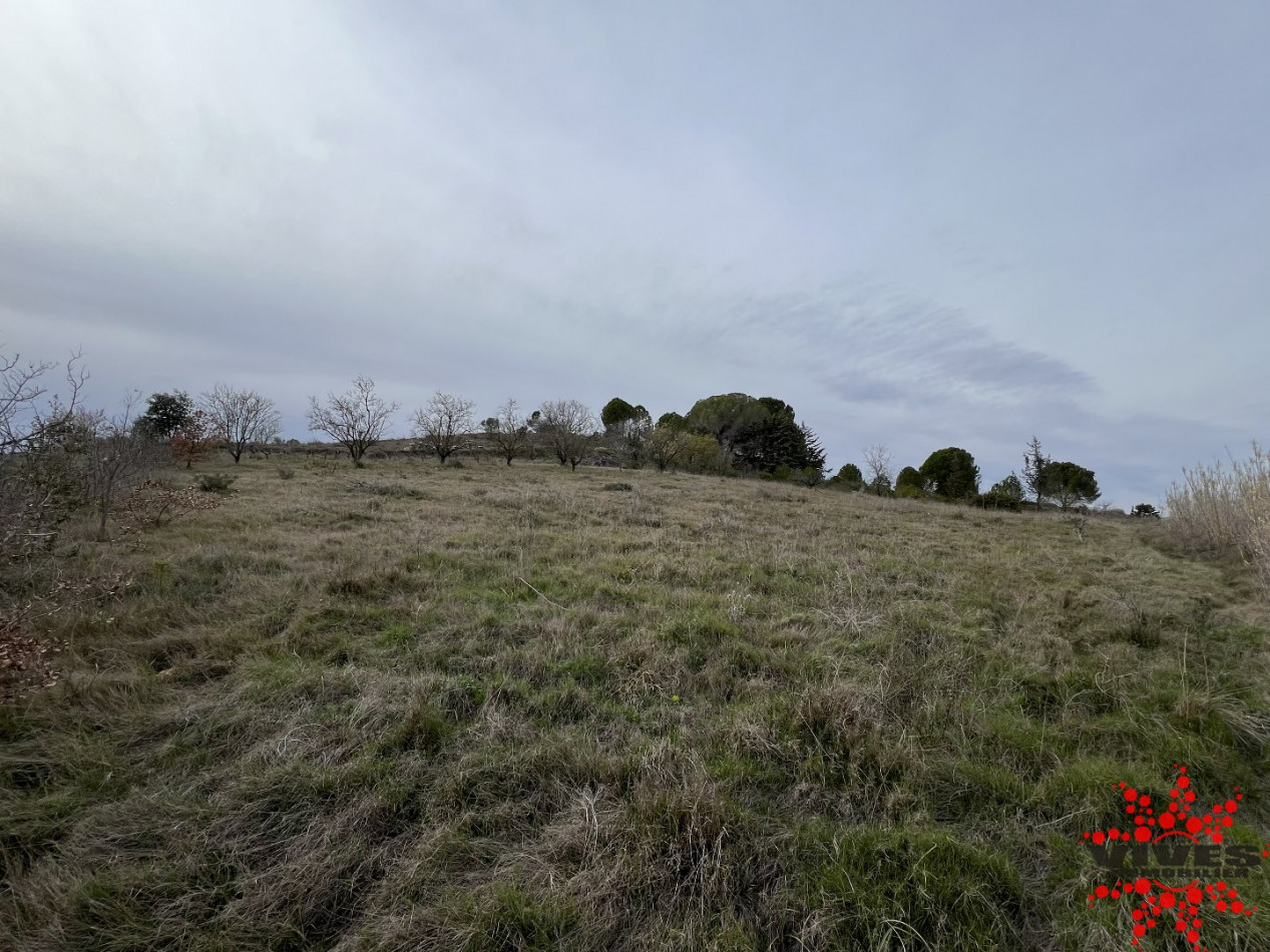 vente Terrain agricole Maraussan - Photo 3