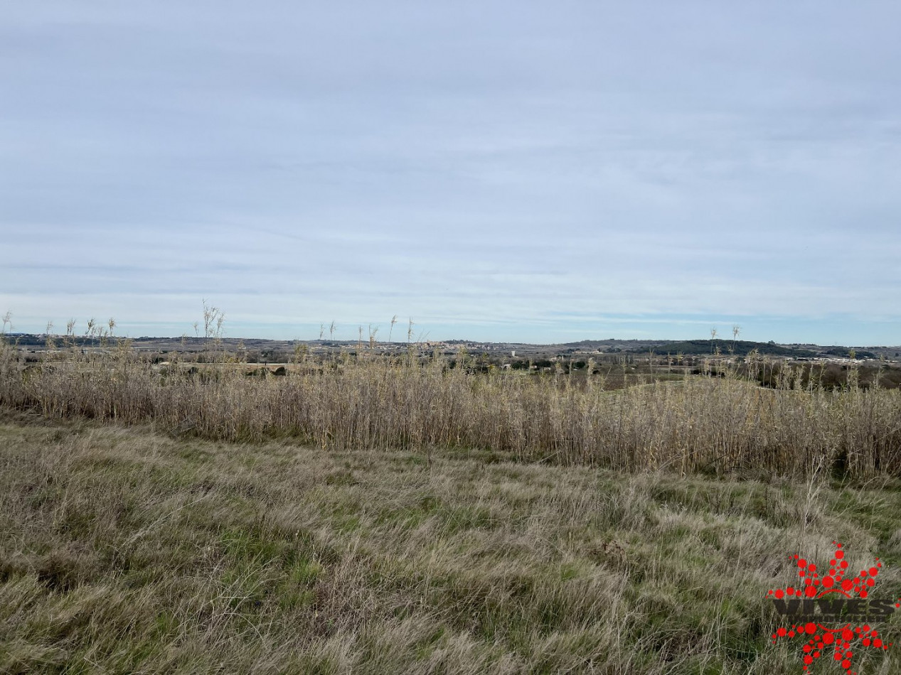 vente Terrain agricole Maraussan - Photo 2