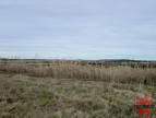 vente Terrain agricole Maraussan