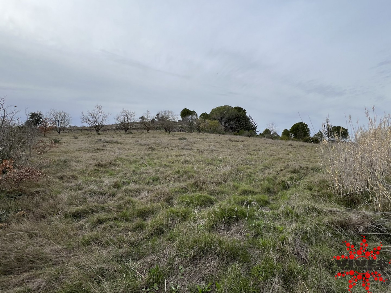 vente Terrain agricole Maraussan - Photo 1