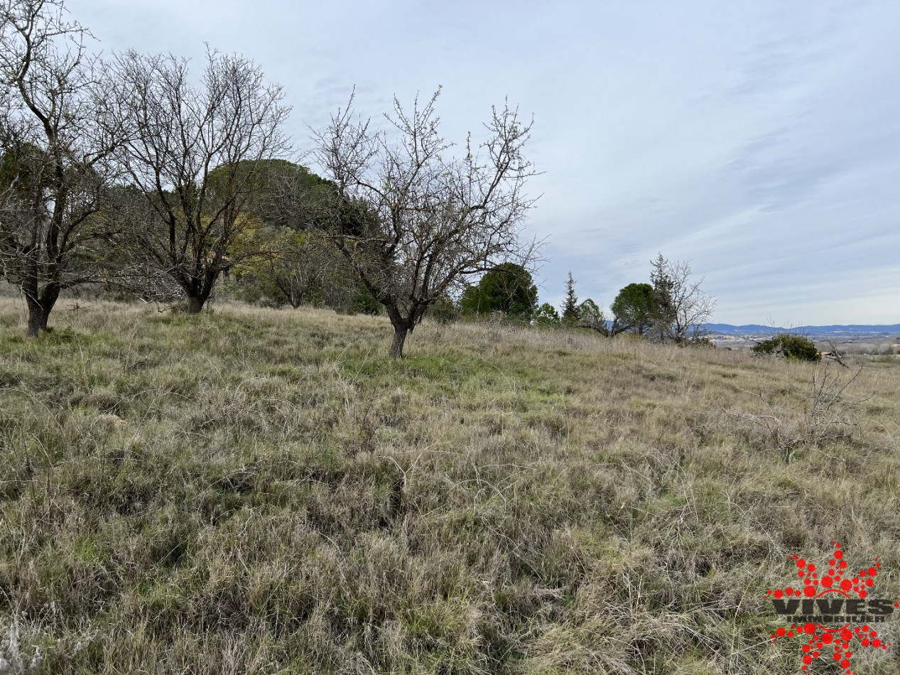 vente Terrain agricole Maraussan - Photo 4