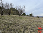 vente Terrain agricole Maraussan