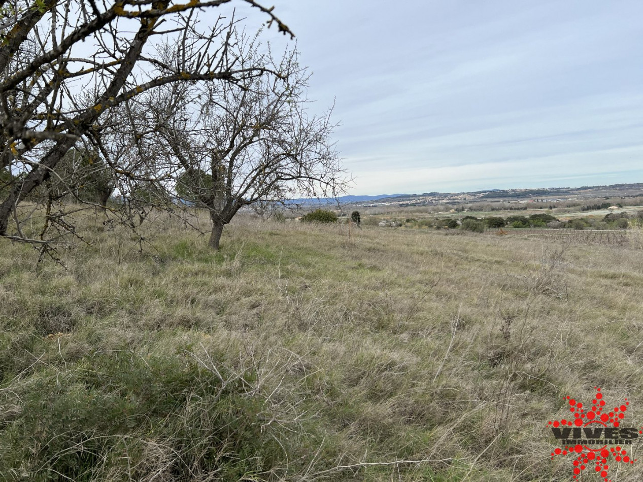 vente Terrain agricole Maraussan - Photo 5