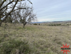vente Terrain agricole Maraussan