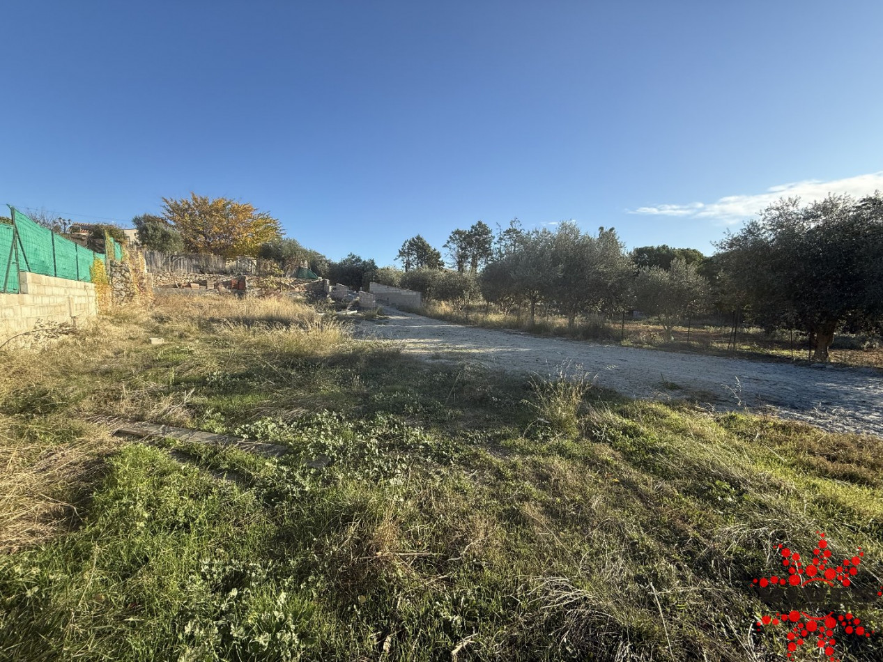 vente Terrain constructible Montady - Photo 2