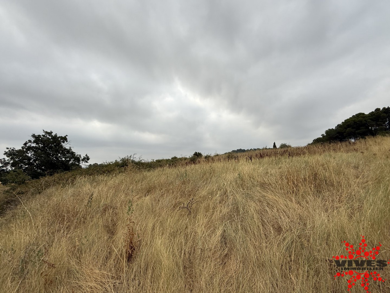 vente Terrain agricole Cazouls Les Beziers - Photo 3