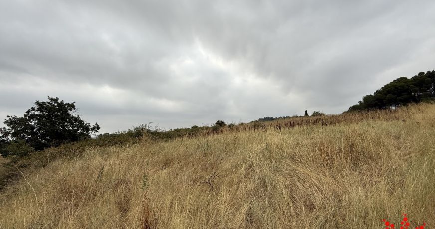 vente Terrain agricole Cazouls Les Beziers