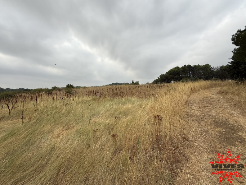 vente Terrain agricole Cazouls Les Beziers - Photo 4