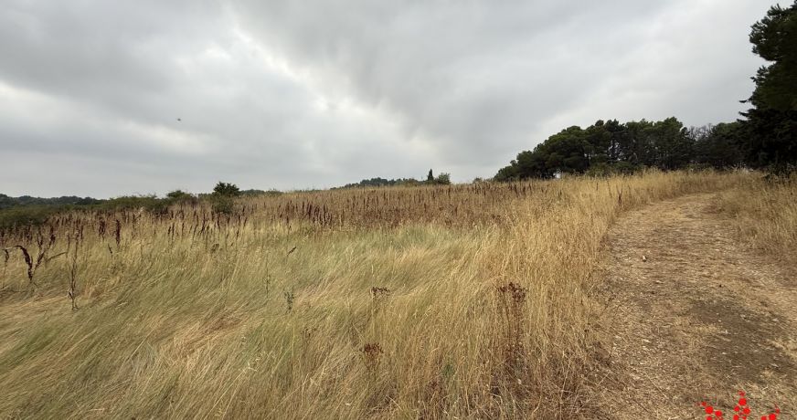 vente Terrain agricole Cazouls Les Beziers