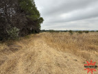 vente Terrain agricole Cazouls Les Beziers
