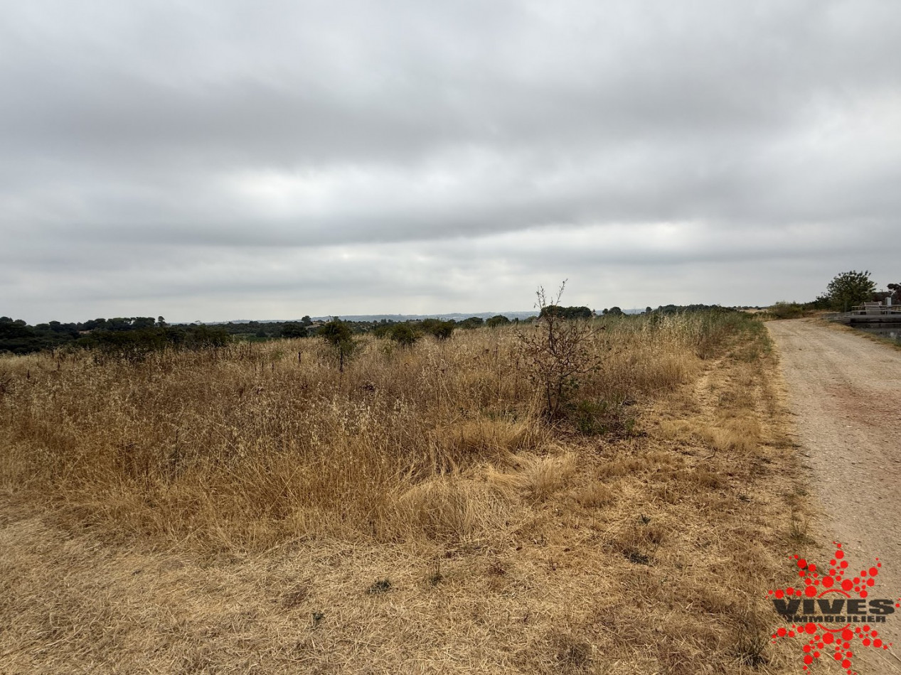 vente Terrain agricole Cazouls Les Beziers - Photo 6